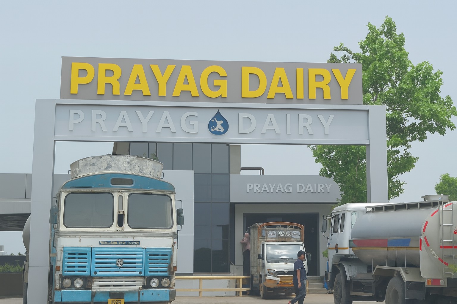 dairyimage