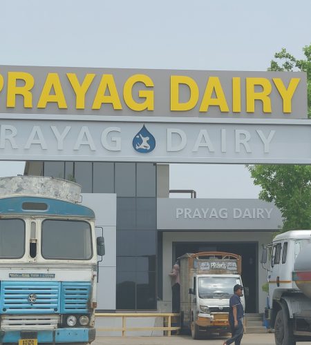 dairyimage